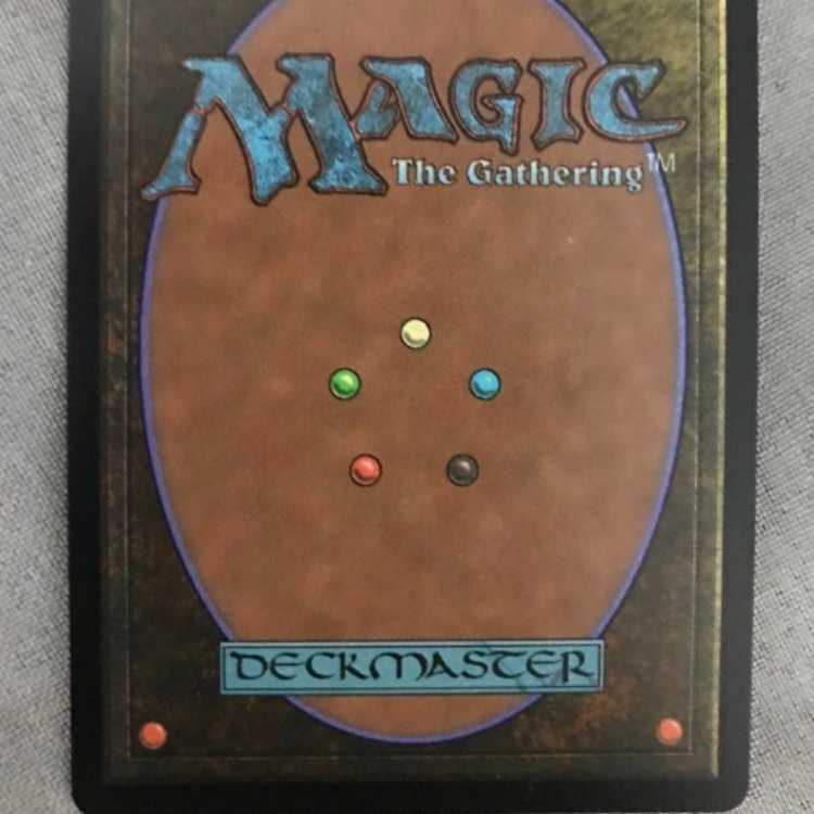 mtg【エンブレム・Foil】《高揚するモササウルス》の通販 しょへ