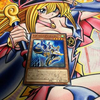 F.A. Whip Crosser Normal JP023