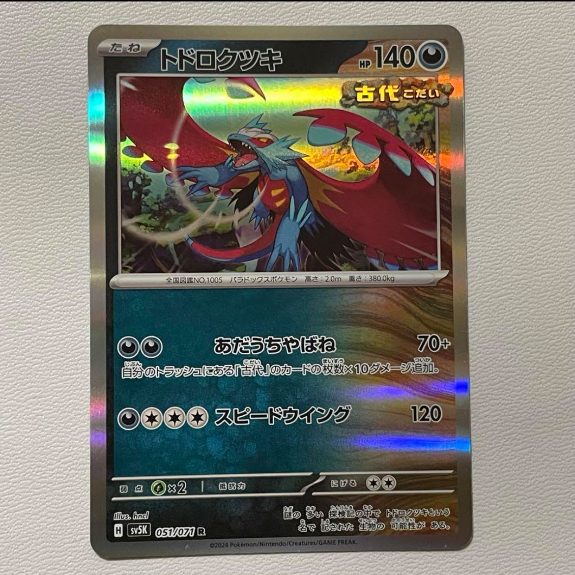 Todorokutsuki R 051/071