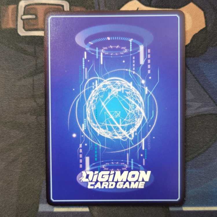 シャイングレイモン:ルインモード パラレル 管理01