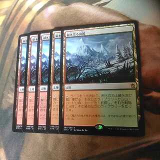 樹木茂る山麓★日２枚セット★タルキール覇王譚