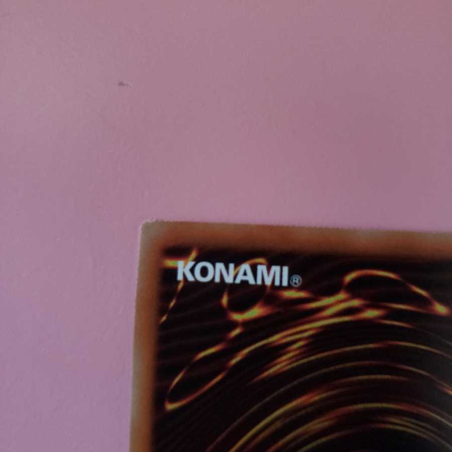 捕食植物ドラゴスタペリア ウルトラレアプレイ用