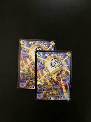 Proten! Ginga MAX R 24/95