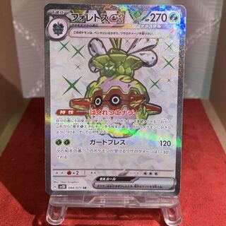 Pocketka [Forretressex] SR