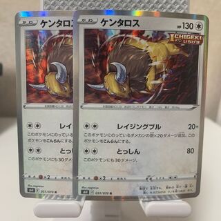 Tauros R 051/070 Set of 2