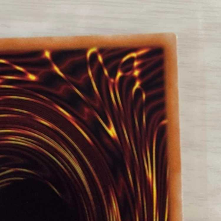 Yu-Gi-Oh! Ghost Ogre & Snow Rabbit 20th Secret