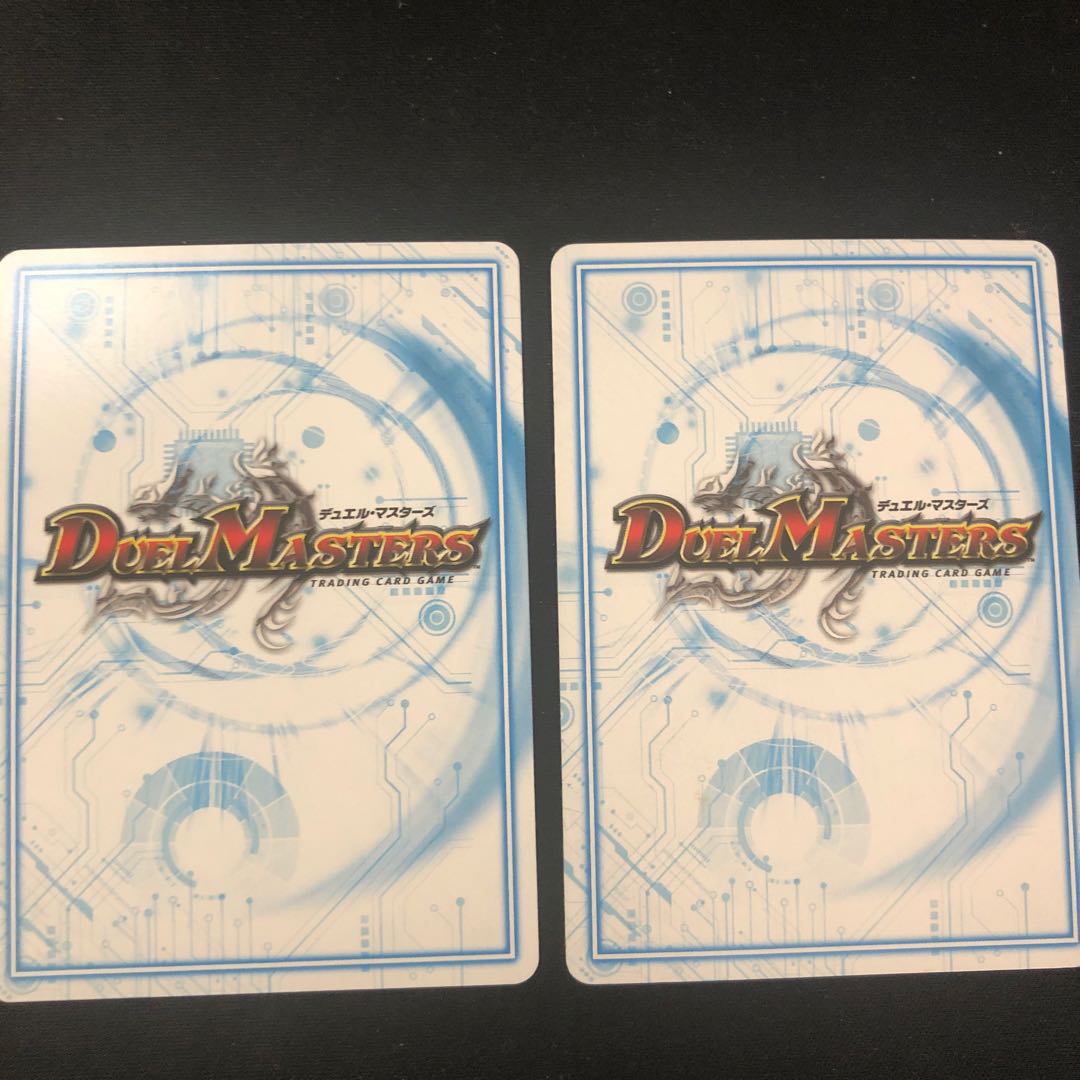 白皇角の意志 ルーベライノ