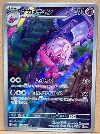 Nakanuchan AR 077/071