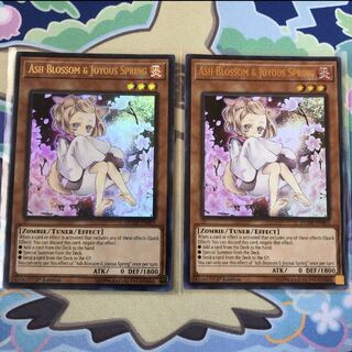 遊戯王　英語版　灰流うらら2枚