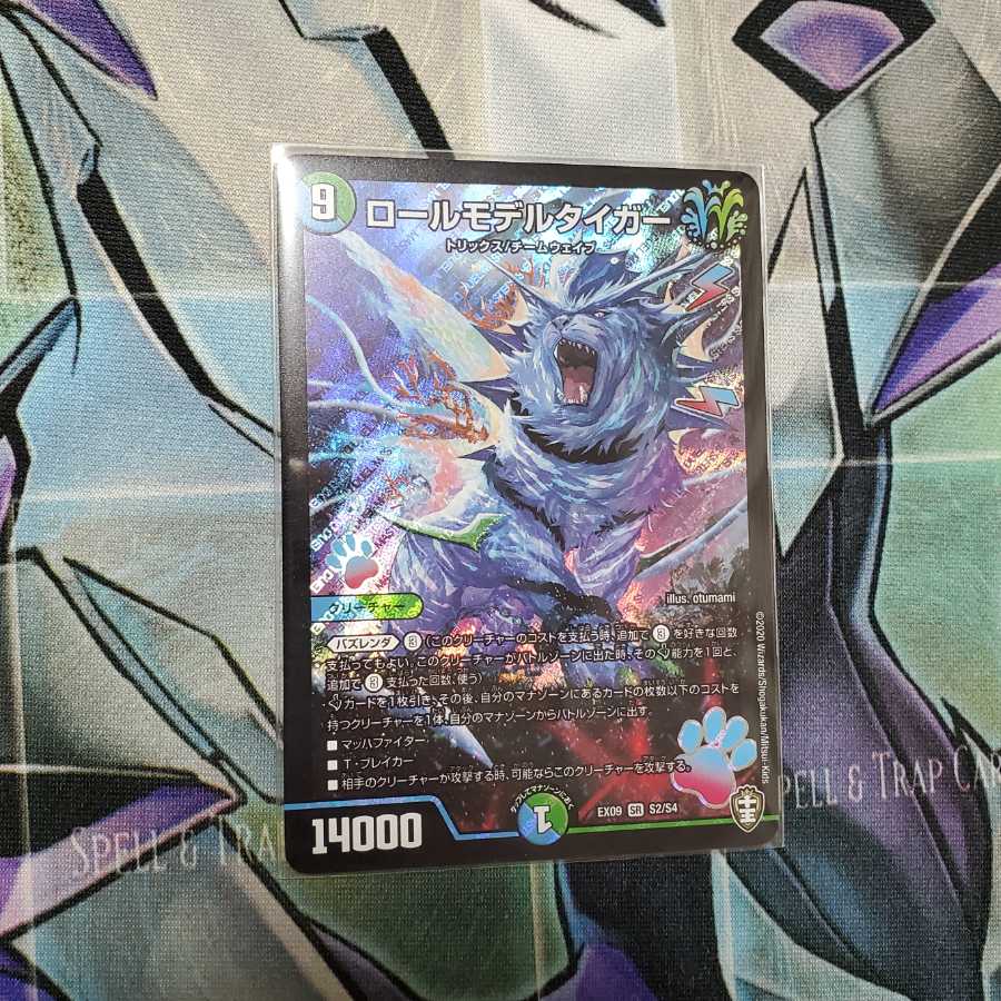 ロールモデルタイガー