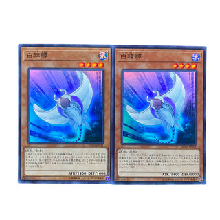 2025【遊戯王】白棘鱏　SR2枚セット