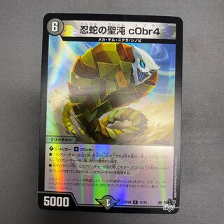 忍蛇の聖沌 c0br4 R 17/74