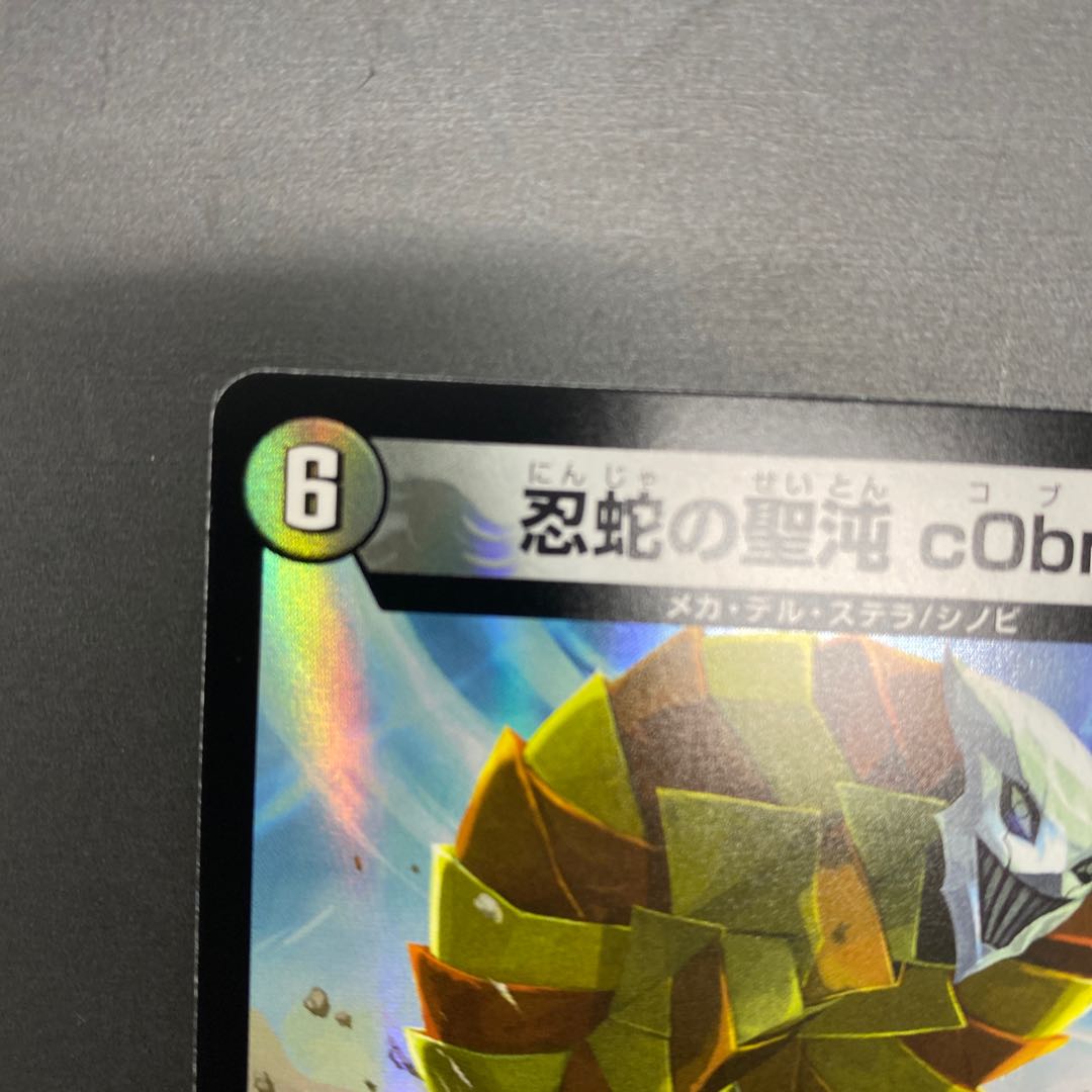 The Holy Chaos of the Ninja Serpent c0br4 R 17/74