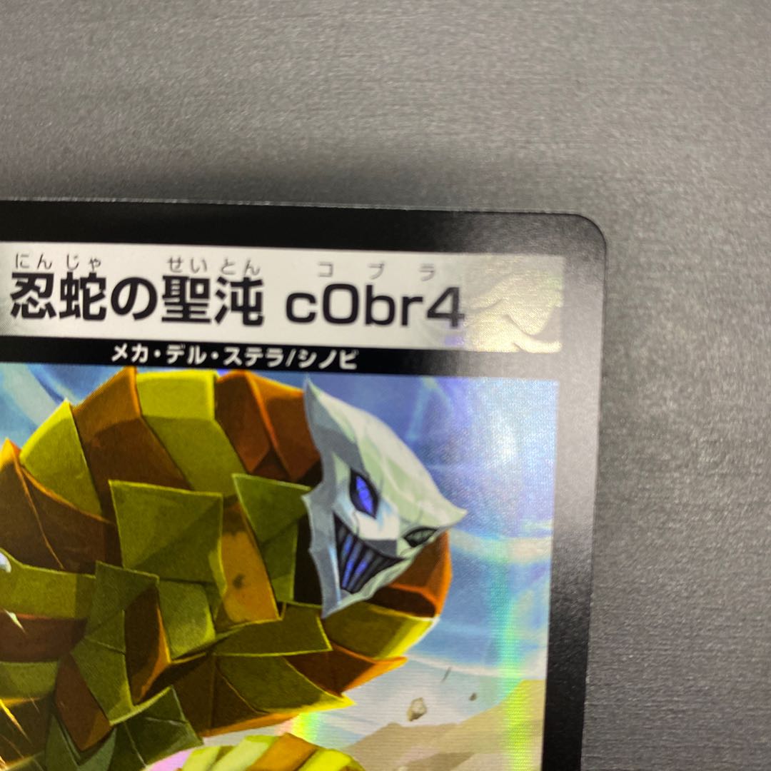 The Holy Chaos of the Ninja Serpent c0br4 R 17/74