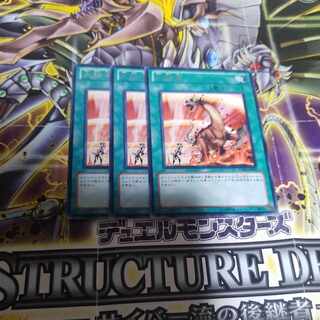 Heat Wave Rare JP061