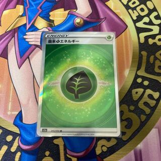 基本草エネルギー SR 251/172