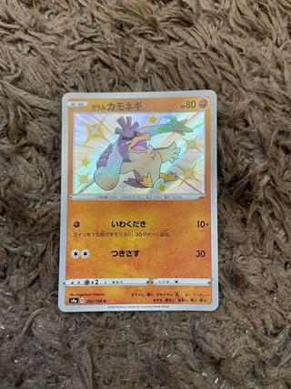 Galal Farfetch'd S 262/190