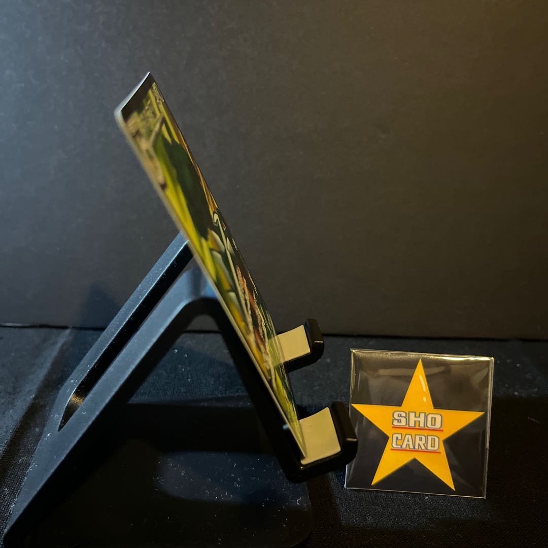 Price reduction [MUST SEE] Torterraex SR 084/071