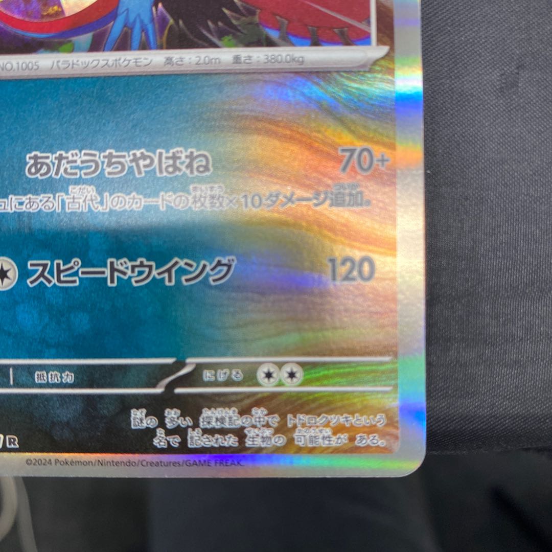 Todorokutsuki R 051/071