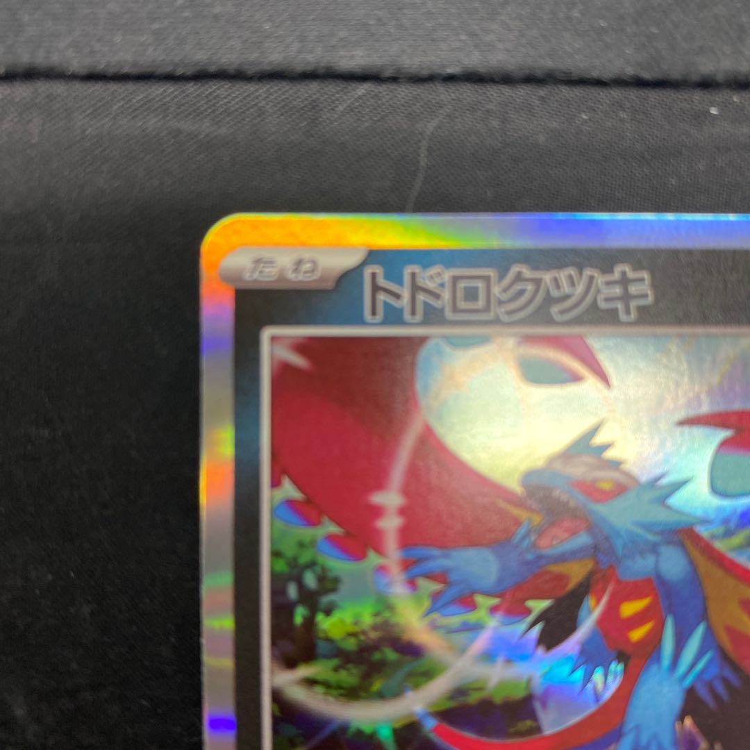 Todorokutsuki R 051/071