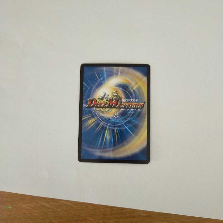 ドキンダム・アポカリプスたださん専用