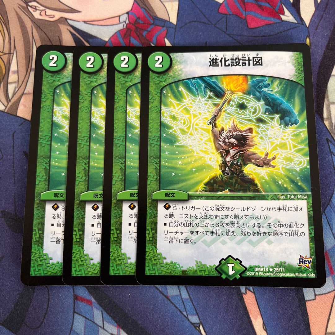 Evolutionary blueprint R 25/71