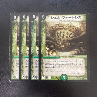 Fortress Shell R 18/55