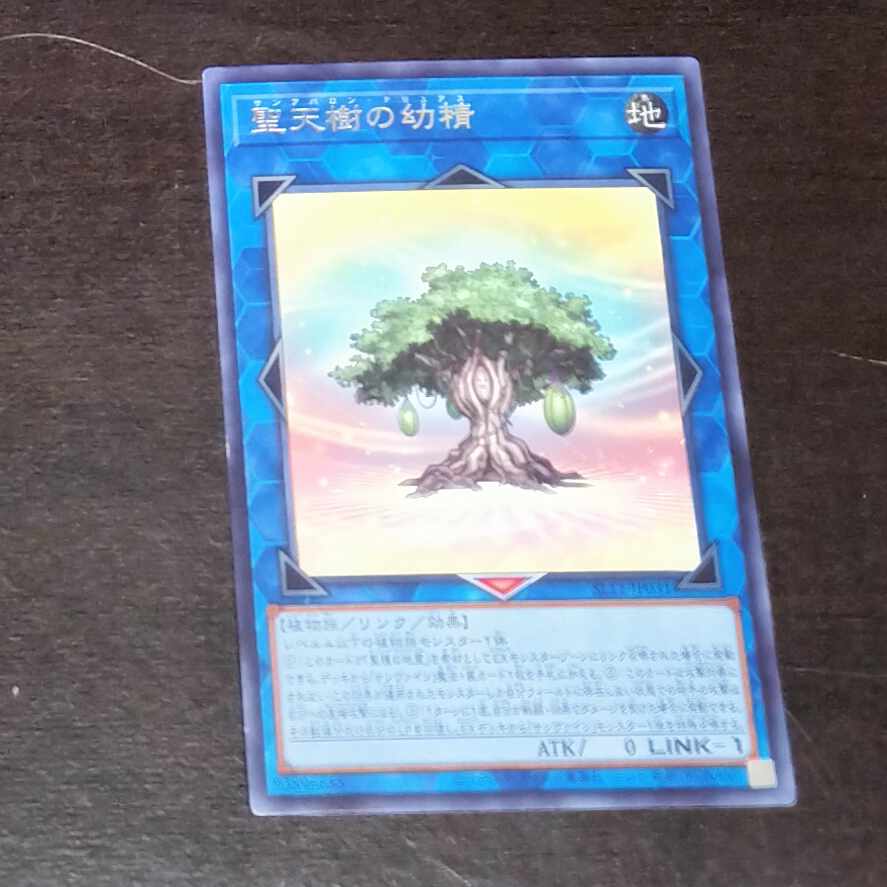 Fairy of the Holy Celestial Tree Rare JP031