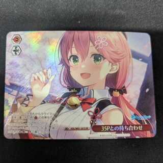 Meeting with 35P HOL/W91-161S Management 02