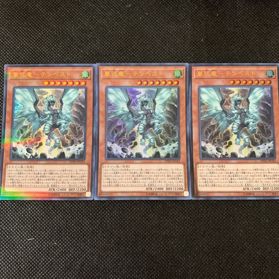 嵐征竜−テンペスト P-UR