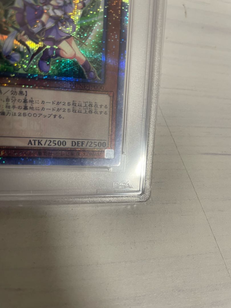 PSA10] Solidarity and the Bonded Mage QCSE DUNE-JP000