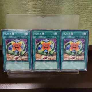 Seed of Deception Normal JP046