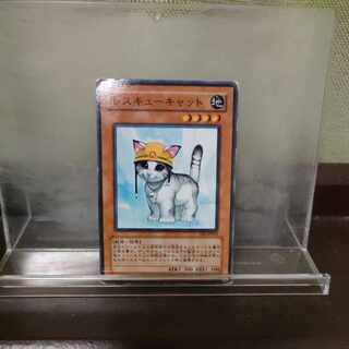 Rescue Cat Normal JP153