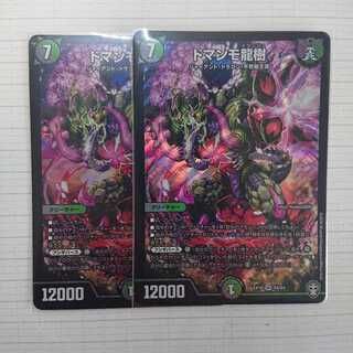 ドマンモ龍樹 ２枚