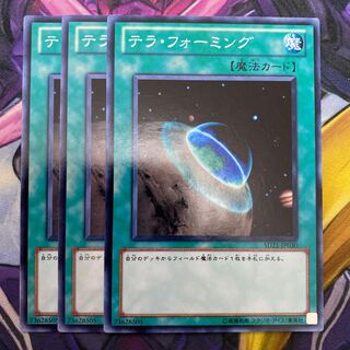 テラ・フォーミング ノーマル JP030