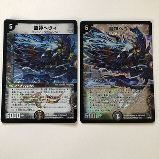 龍神ヘヴィ2枚セット