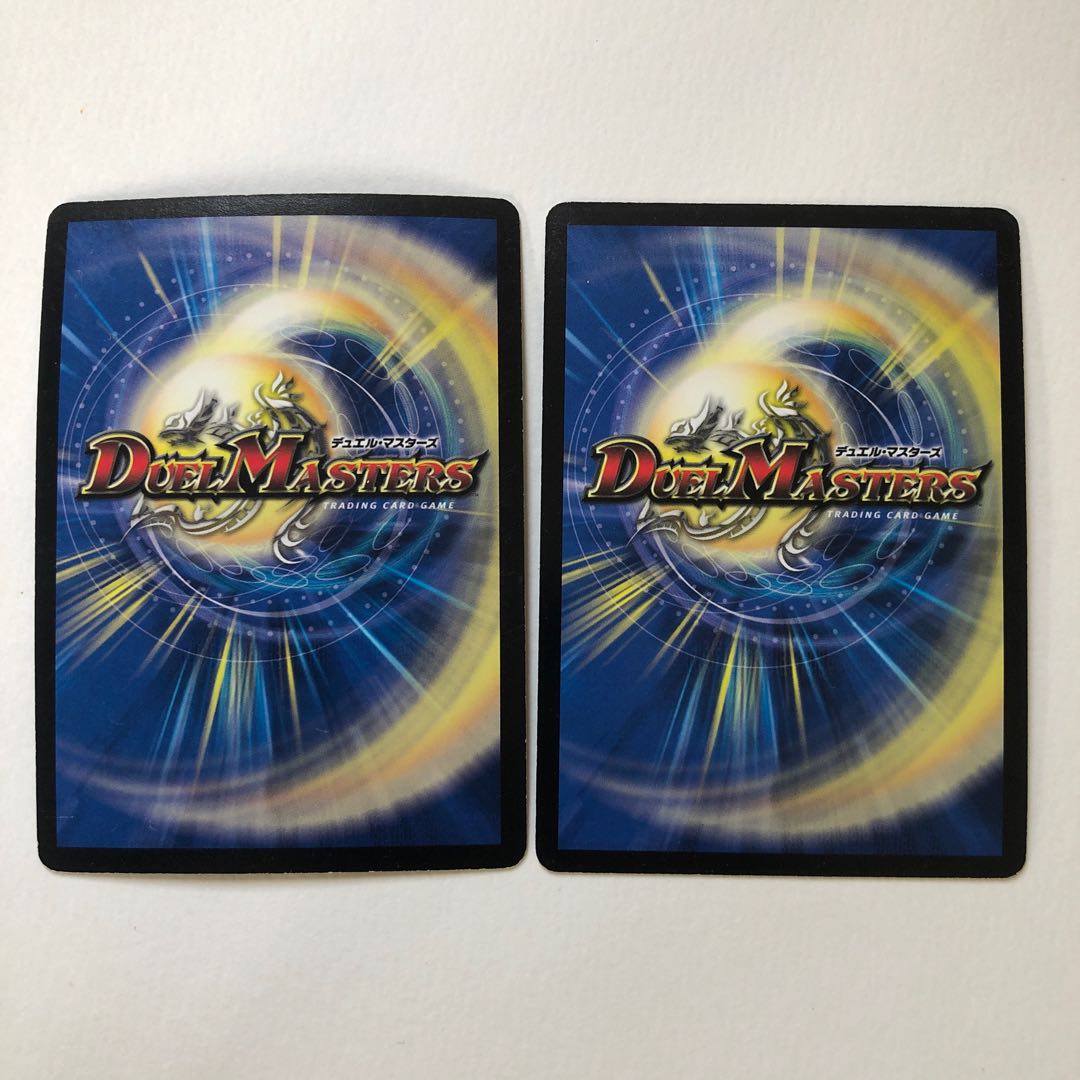 龍神ヘヴィ2枚セット