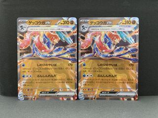 Greninjaex RR 045/066 2 copies