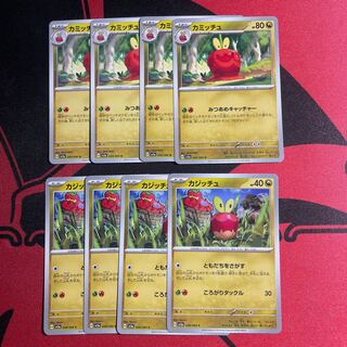 カミッチュ U 049/066 進化ライン