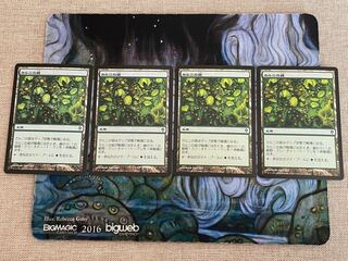 Khalni Garden Common 302/356 1枚