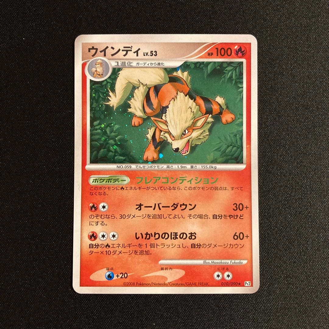 i251 Arcanine Kira Pt2 Pokémon Treasure