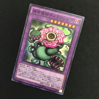 捕食植物キメラフレシア SR