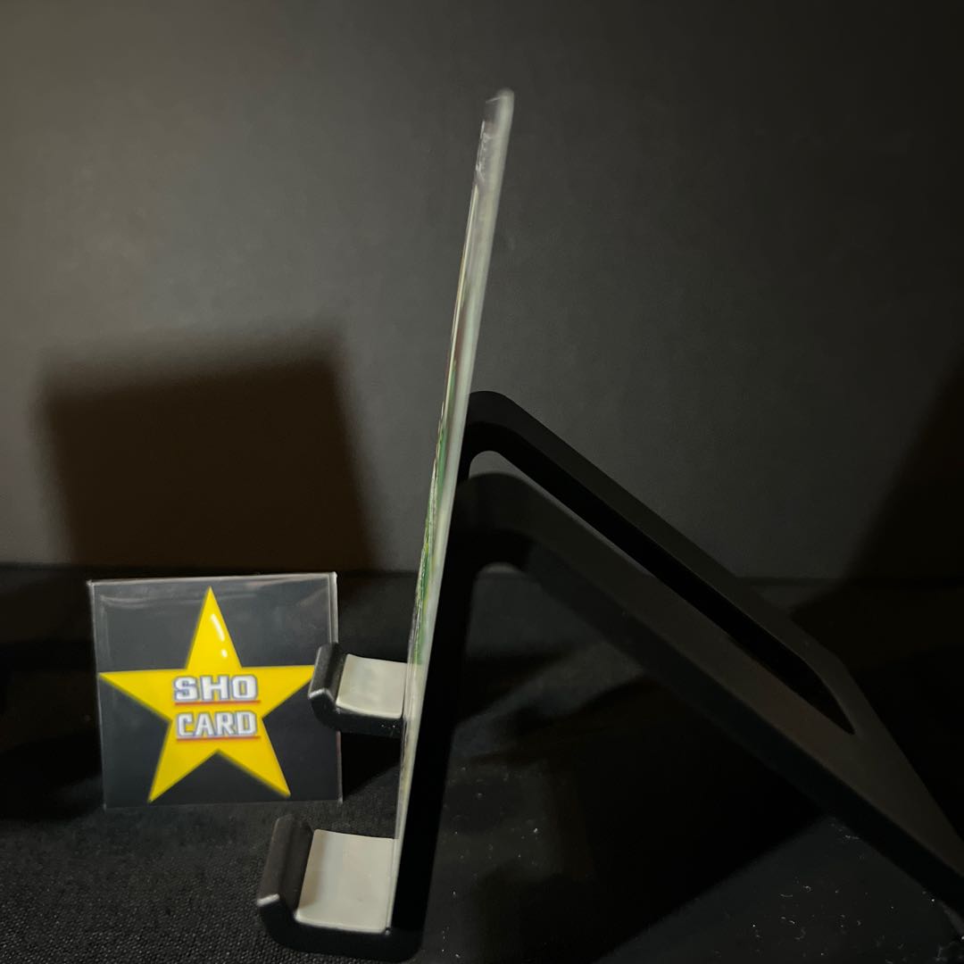 [MUST SEE] Ida Nakiva ex SSR 330/190 Kiraflor ex SSR 329/190 Set of 2