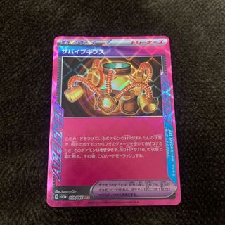 Survive Gips ACE 059/066