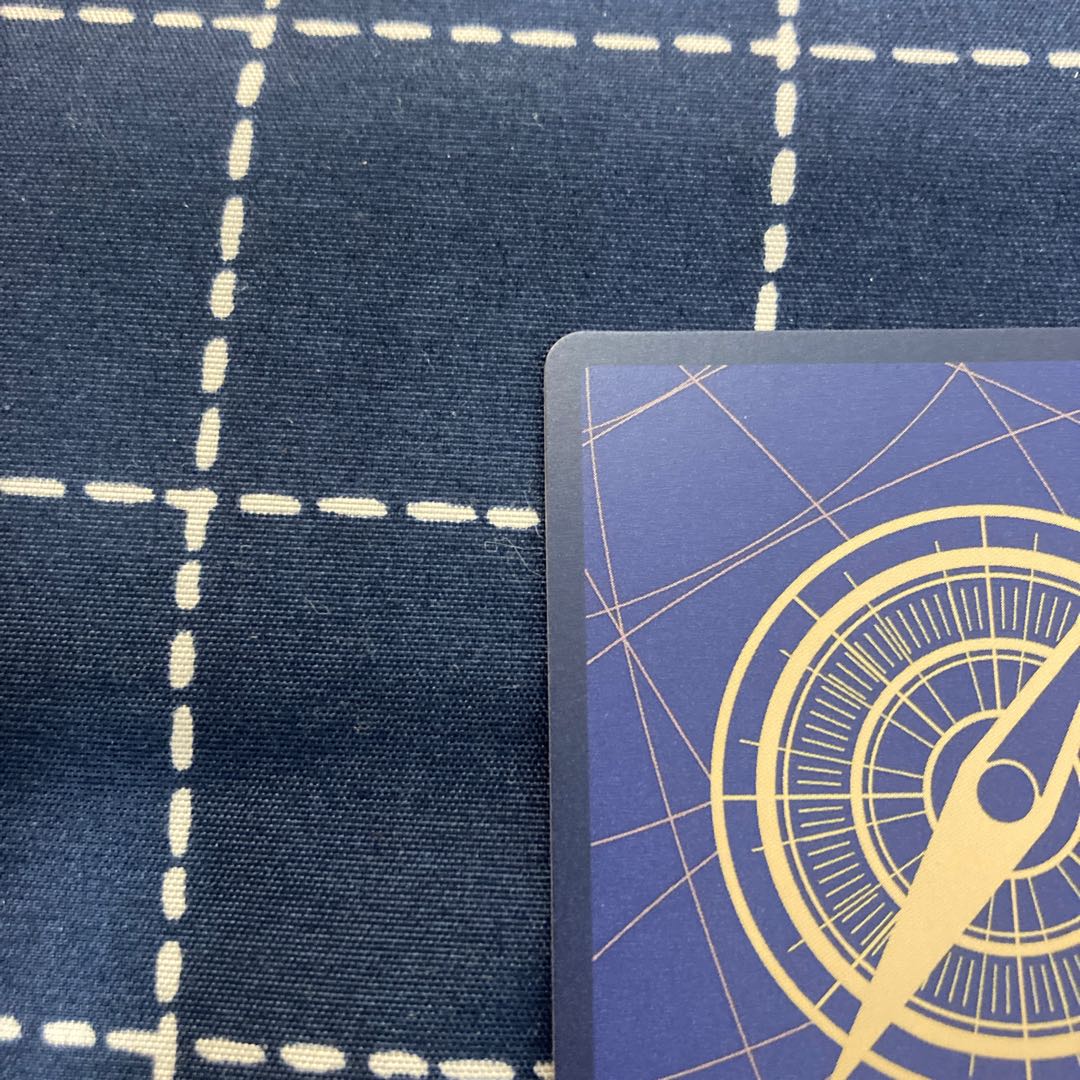 One Piece Card Game Portgas D. Ace Secret Rare 500 Years in the Future ONE PIECE