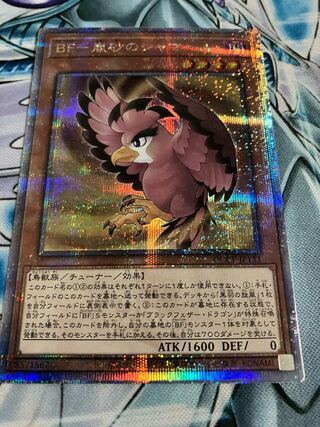 BF-嵐砂のシャマール 25th