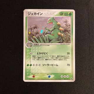 ジュカイン　Lv.52 夜明けの疾走　psa10 ホロ ポケモンカード ジュカイン LV52 - メルカリ