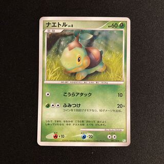 i339 ナエトル キラ Pt ポケモン トレトレ