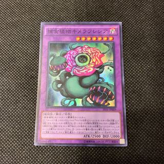 捕食植物キメラフレシア SR