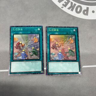 Fossil Dig [Collector's] {RC04-JP054} [Magic] 2 copies